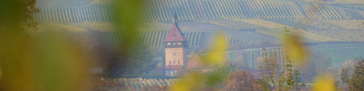 Bild mit Kirchturm